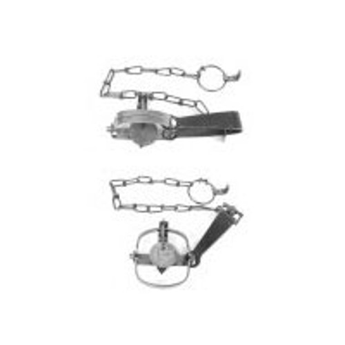 Newhouse Long Spring #1