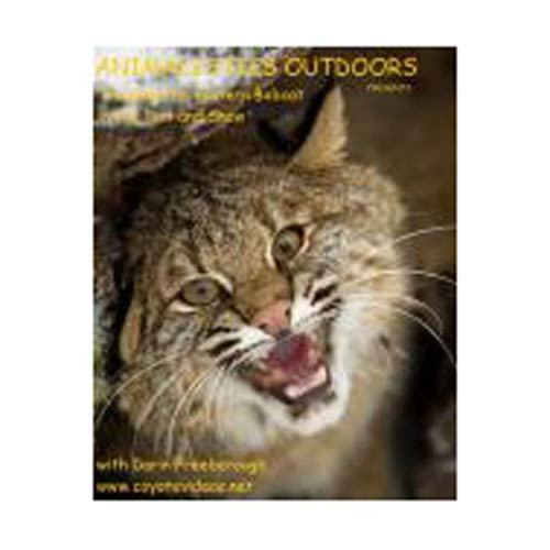 Freeborough, Darin - Trapping The Eastern Bobcat DVD