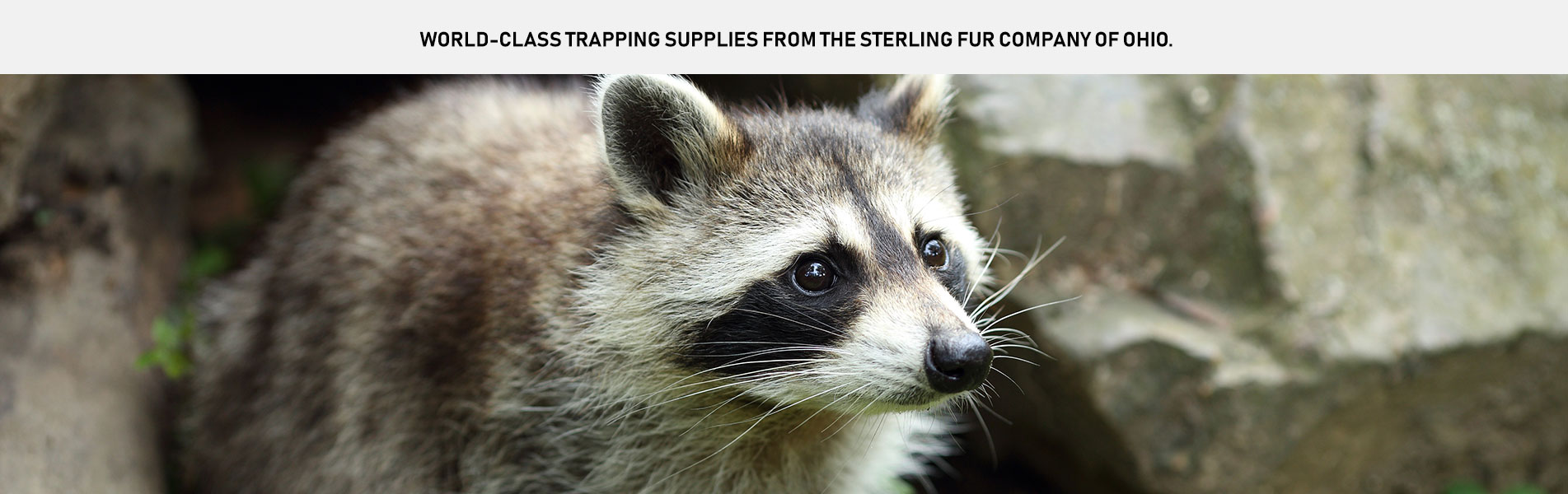 One of The Largest Distributors of Traps and Trapping Supplies In The USA,  Cumberland's Northwest Trappers