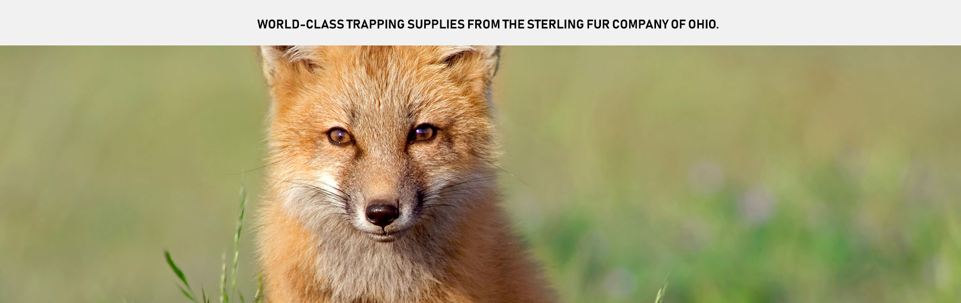 Animal Traps & Supplies