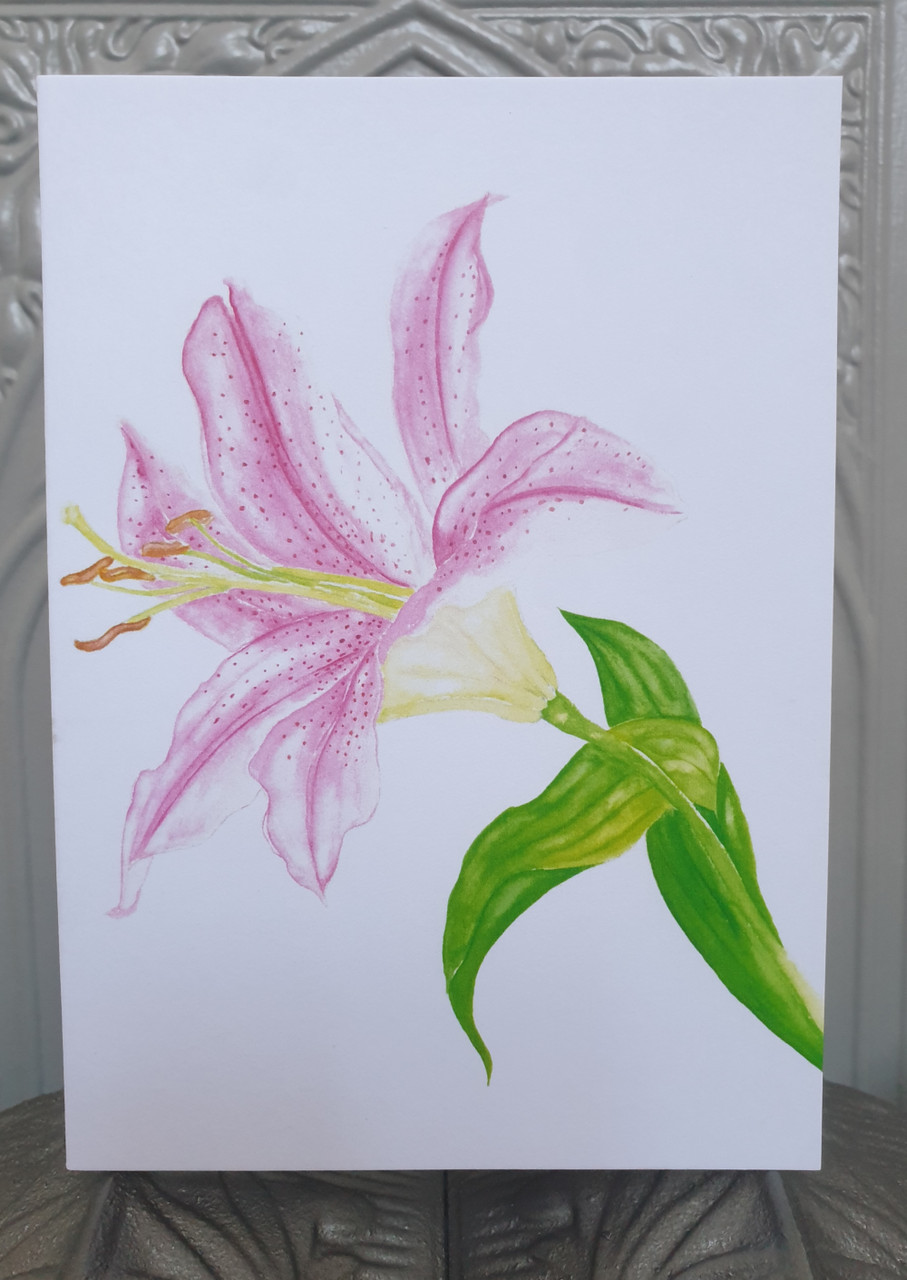 Pink Lily Card from an Original Watercolour by Sarah Cameron - Blank Inside