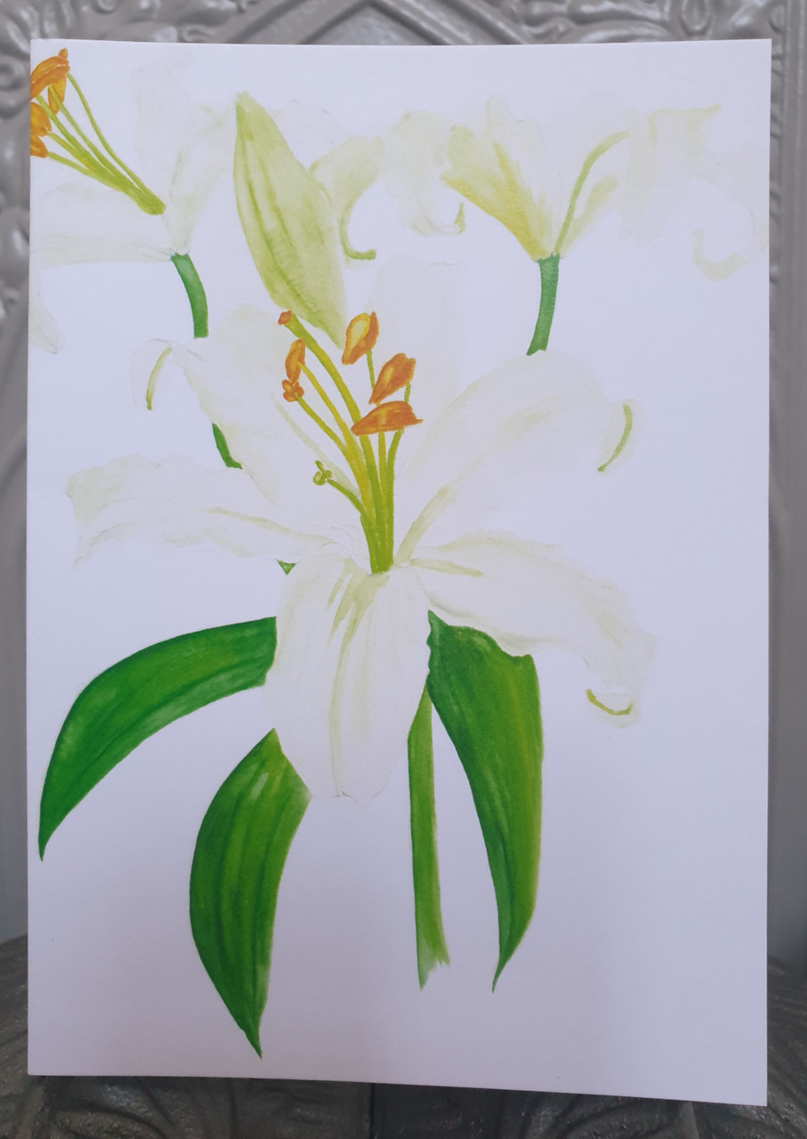 White Lily Card from an Original Watercolour by Sarah Cameron - Blank Inside