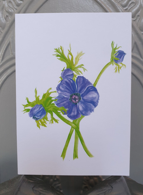 Mauve Anemone Card from an Original Watercolour by Sarah Cameron - Blank Inside