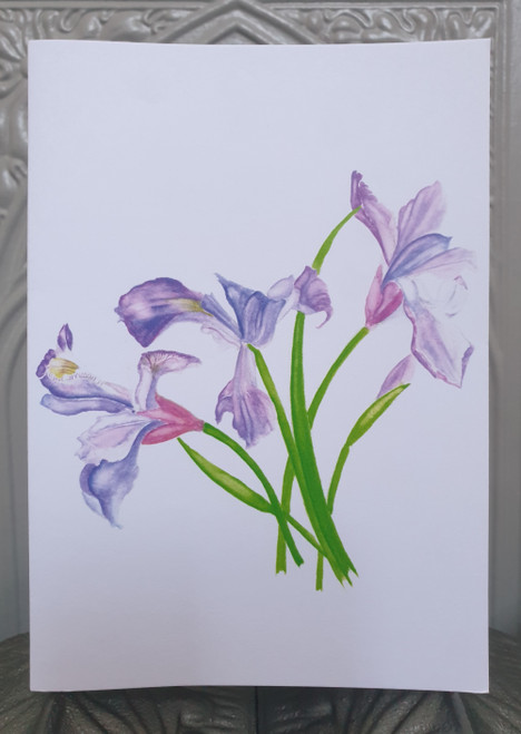 Purple Iris Card from an Original Watercolour by Sarah Cameron - Blank Inside.