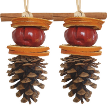 Two Dried Fruit Christmas Hanging Decorations - Hand Made - Fir Cone - 11cm