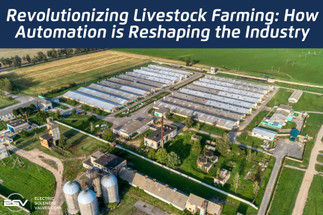 Revolutionizing Livestock Farming: How Automation is Reshaping the Industry Revolutionizing Livestock Farming: How Automation is Reshaping the Industry