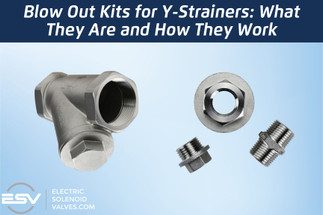 Blow Out Kits for Y-Strainers: What They Are and How They Work Blow Out Kits for Y-Strainers: What They Are and How They Work