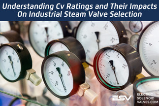 Understanding Cv Ratings and Their Impacts On Industrial Steam Valve Selection Understanding Cv Ratings and Their Impacts On Industrial Steam Valve Selection