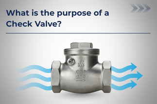 What is the Purpose of a Check Valve?