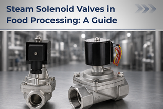 Steam Solenoid Valves in Food Processing: A Guide