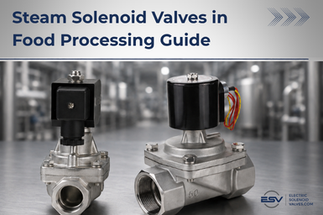 Steam Solenoid Valves in Food Processing Guide