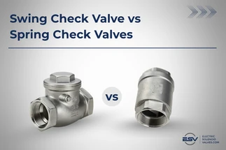 Swing vs Spring Check Valves | Differences & Applications