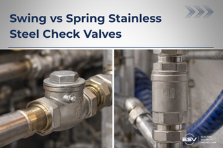 Check Valves Explained: Swing vs Stainless Steel Spring Check Valves