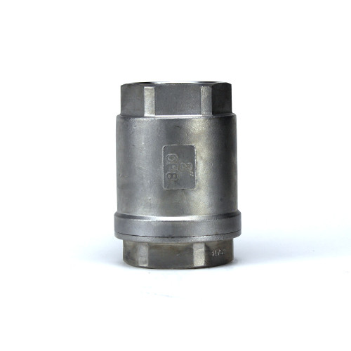 2 inch SS spring check valve - standing