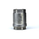 2 inch SS spring check valve - standing