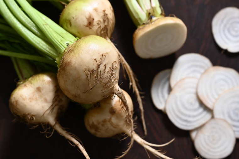 Girl, Dug, Farm, Dog, Girl & Dug, Girl n Dug, San Diego, California, Specialty, Produce, Smell, Flavor, Aroma, Eye candy, Fresh, Vegetable, Veggies, Yeti, Beet, White, Sugar, Sweet, Earthy, Root