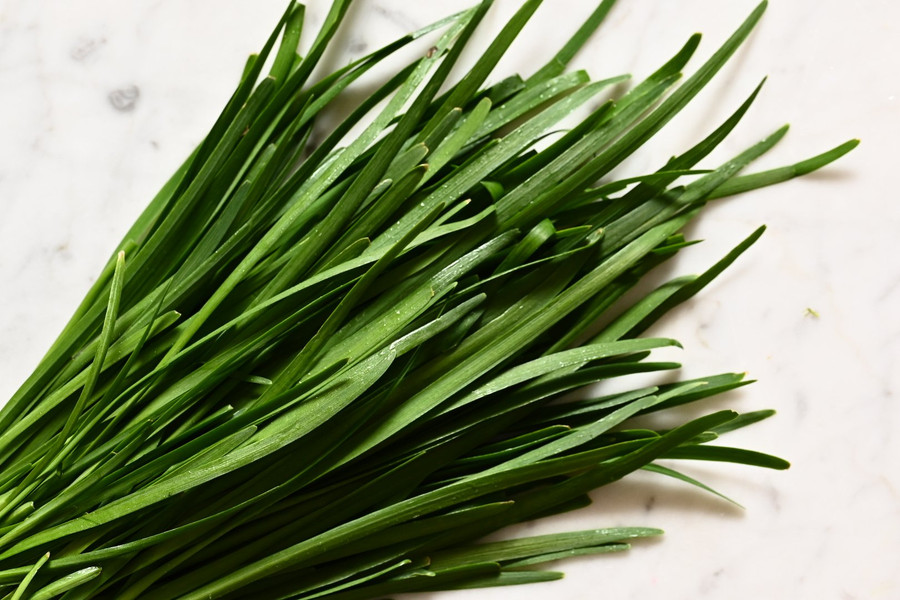 Garlic Chive