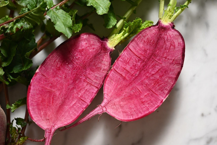 Radish, Berry