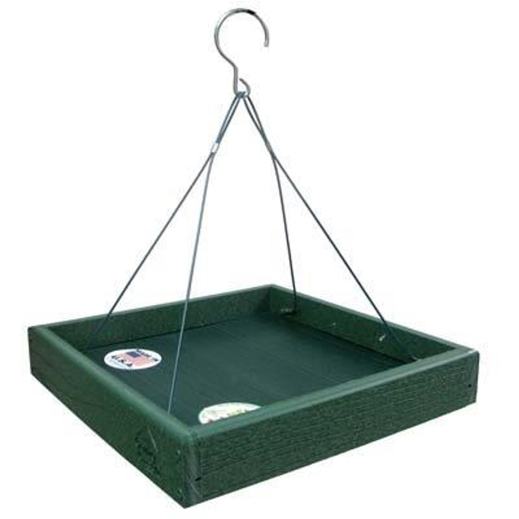 GG Platform Feeder 4/cs