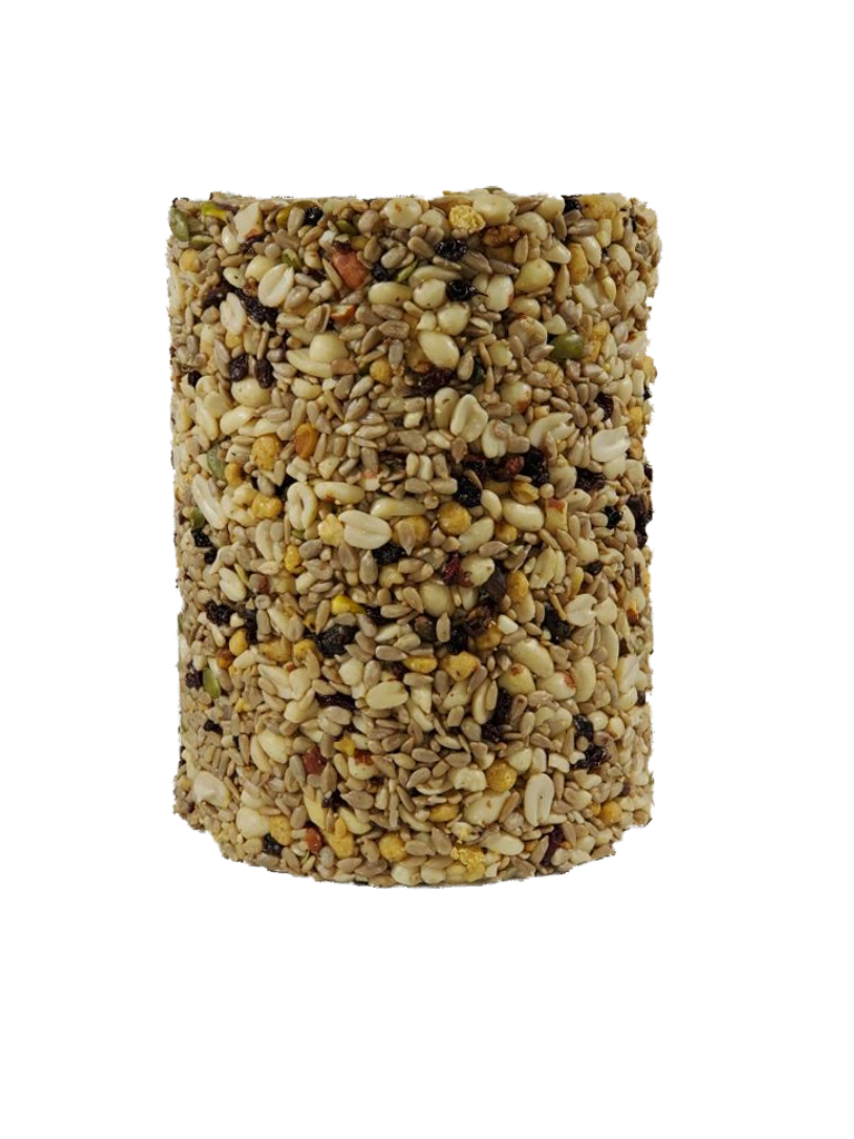 Woodpecker Large Cylinder 6/case