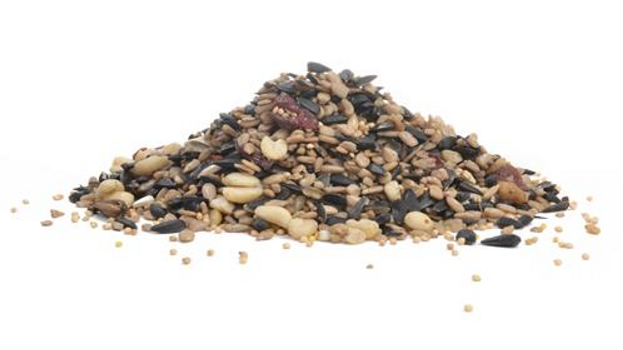 Companion Wild Bird Food Premium