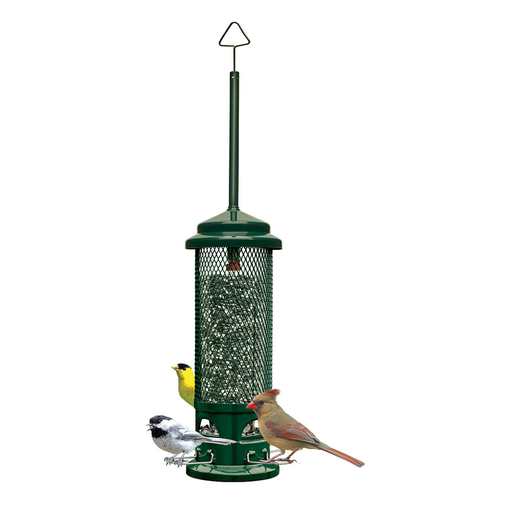 Home Garden Brome Squirrel Squirrel Bird Seed And Water Feeder