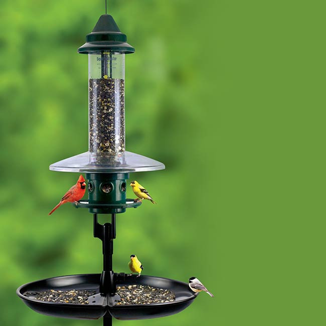 bird feeder catch tray