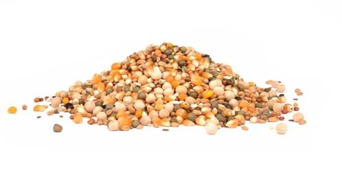 All-Purpose 14% POP - Lizzie Mae's Bird Seed