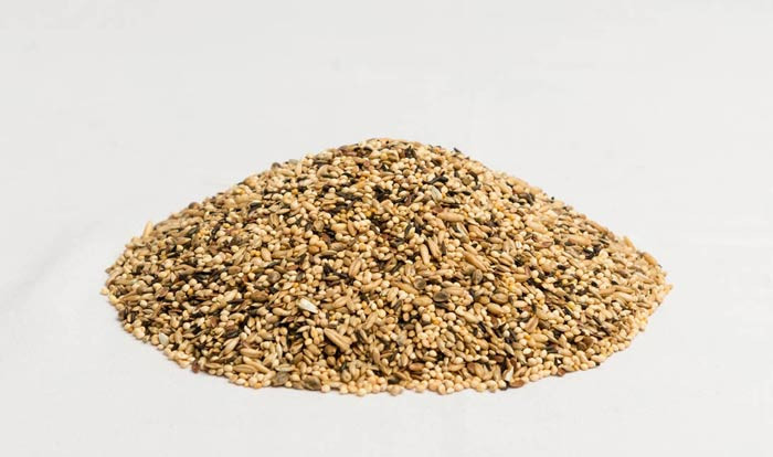 Lizzie Mae's Parakeet Treat - Lizzie Mae's Bird Seed