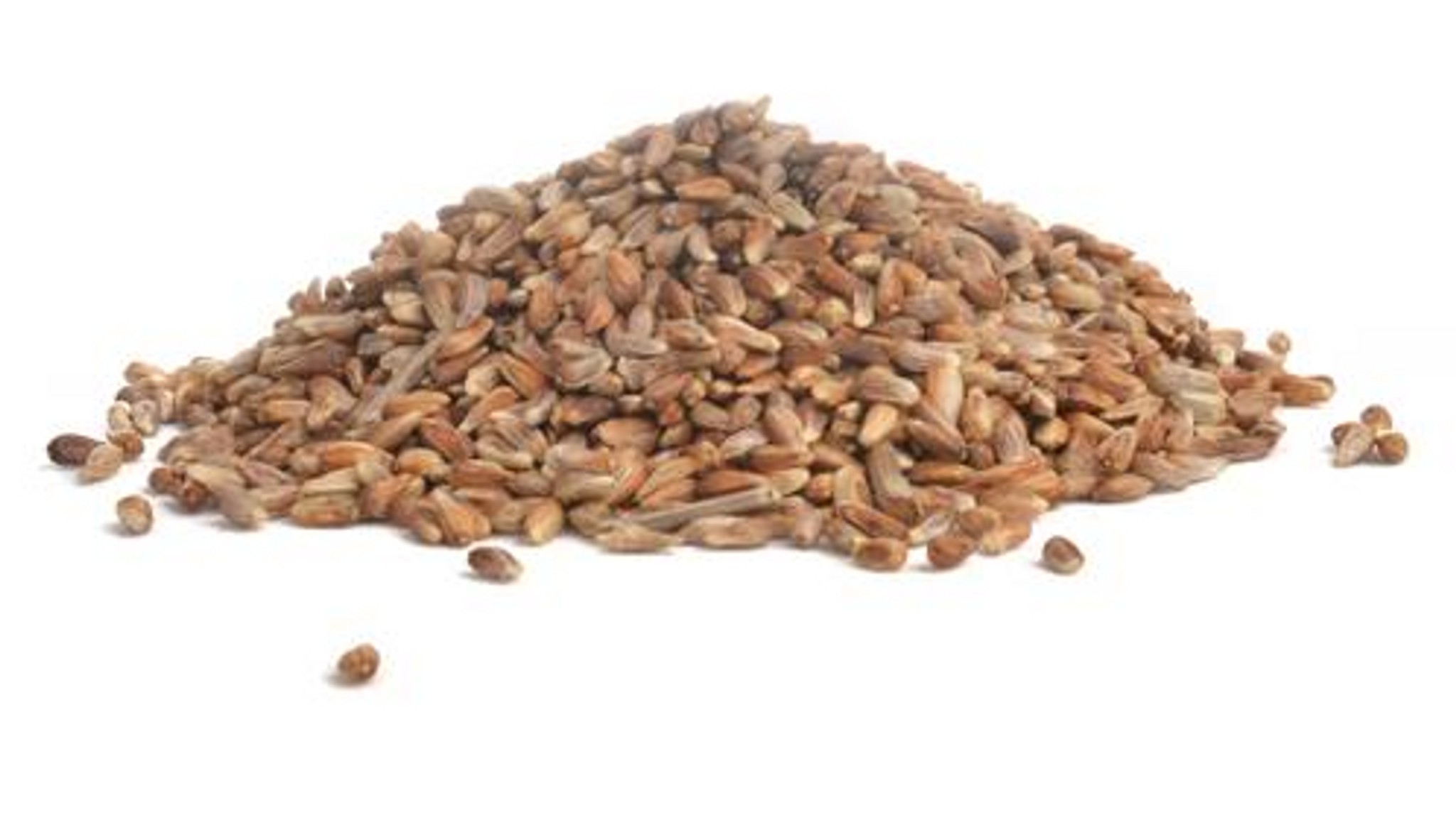 nutrasaff bird seed