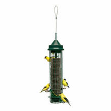 Squirrel Buster Finch 2/cs