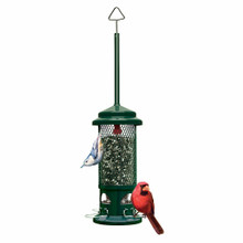 Squirrel Buster Standard 4/cs