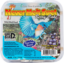 Never Melt Suet Berry Cake