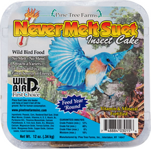 Never Melt Suet Insect Cake