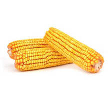 EarCorn