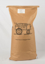 Sunflower Chips - Medium