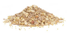 Shell Free Medley