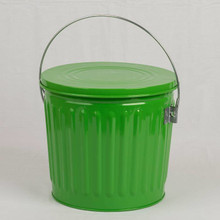 Galvanized Seed Storage Can w/ Lid - 5 Gal.