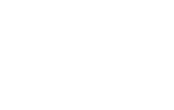 Galvanized Seed Storage Can w/ Lid - 5 Gal. - Lizzie Mae's Bird Seed