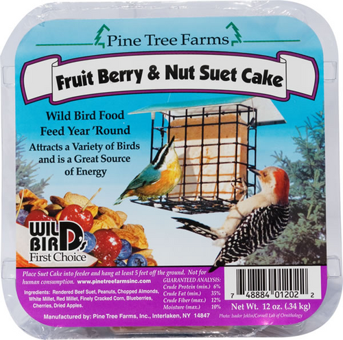 Fruit & Nut Suet Cake
