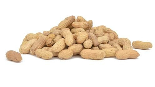 Raw Inshell Peanuts 10lb
