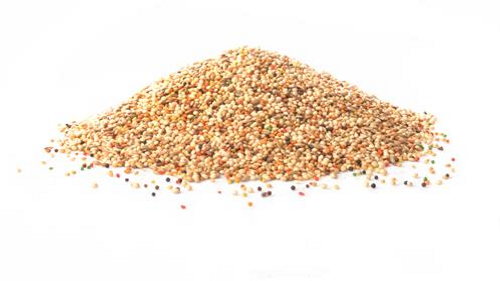 Enriched Finch Food