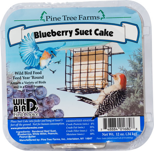 Blueberry Suet Cake - Lizzie Mae's Bird Seed