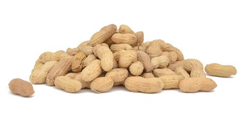 Raw In-shell Peanuts - Lizzie Mae's Bird Seed