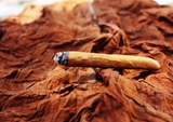 Fronto Tobacco Leaves: A Cost-Effective and Natural Alternative to Backwoods, Swisher Sweets, and Dutch Masters