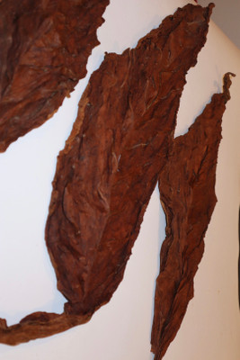 How To Store Your Fronto Leaves - Hotgrabbz™ Grabba