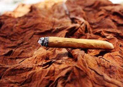 Fronto Tobacco Leaves: A Cost-Effective and Natural Alternative to Backwoods, Swisher Sweets, and Dutch Masters