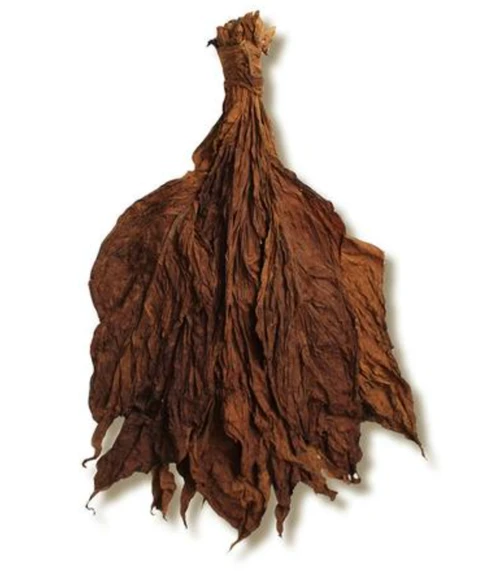 Whole fronto leaves
