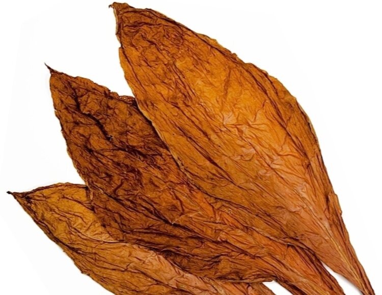 Grabba Leaf and Fronto Leaf - Lower quality DAC grabba leaf for sale online.