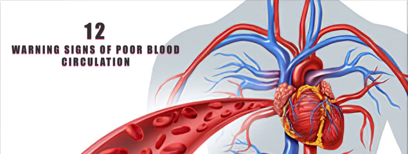 12 WARNING SIGNS OF POOR BLOOD CIRCULATION